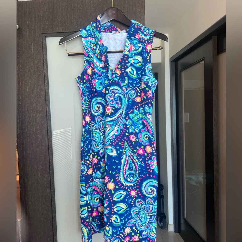 Aryeh Blue and Pink Paisley Midi Dress.   NWT
